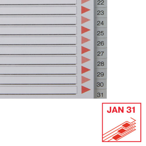 100108_04.jpg Przekładki plastikowe szare PP numeryczne A4 Esselte, 1-31