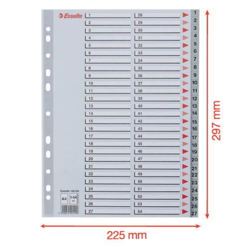 100109_05.jpg Przekładki plastikowe szare PP numeryczne A4 Esselte, 1-54