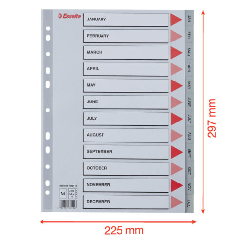 100114_05.jpg Przekładki plastikowe szare PP numeryczne A4 Esselte, 12 miesięcy
