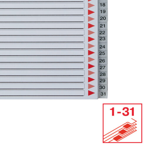 100127_04.jpg Przekładki plastikowe szare PP alfabetyczne A4 Esselte, 1-31 maxi