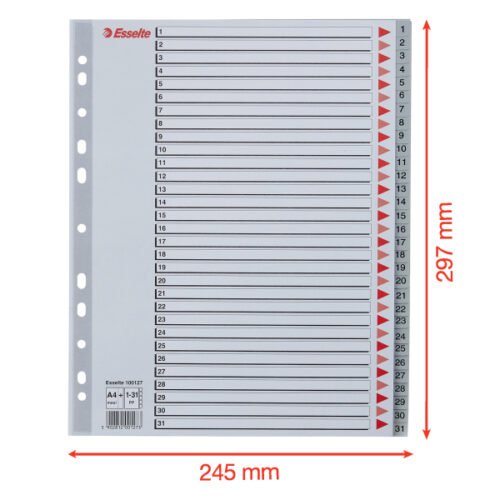 100127_05.jpg Przekładki plastikowe szare PP alfabetyczne A4 Esselte, 1-31 maxi