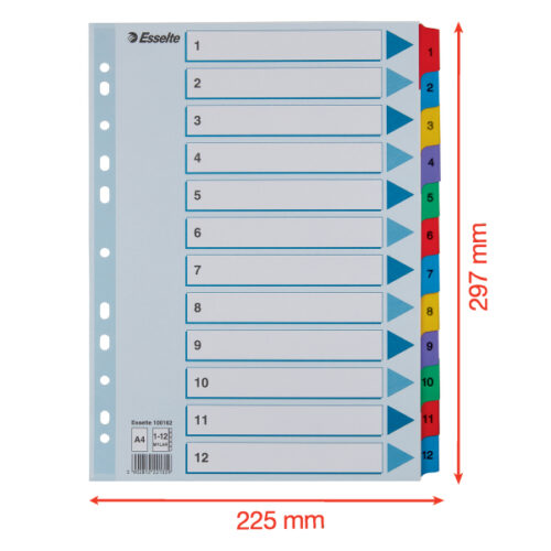 100162_05.jpg Przekładki kartonowe Mylar A4 Esselte, biały 1-12