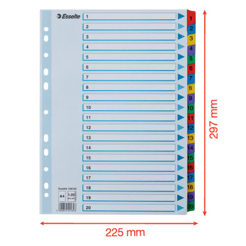 100163_06.jpg Przekładki kartonowe Mylar A4 Esselte, biały 1-20