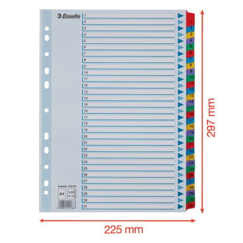 100164_05.jpg Przekładki kartonowe Mylar A4 Esselte, biały 1-31