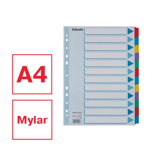 100169_01.jpg Przekładki, kolorowy karton, karta opisowa Mylar A4, Esselte, 12 kart