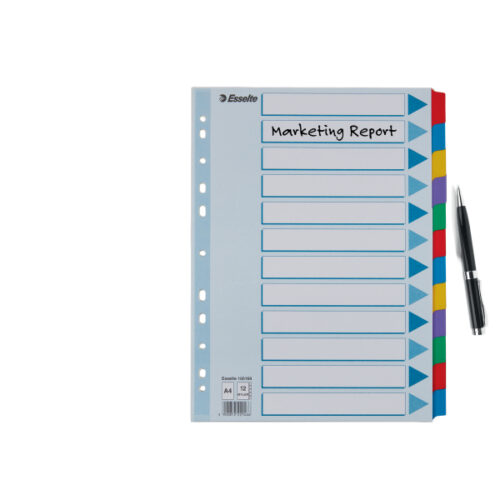 100169_03.jpg Przekładki, kolorowy karton, karta opisowa Mylar A4, Esselte, 12 kart