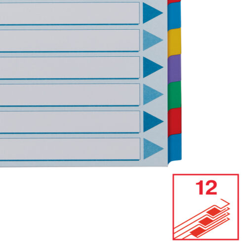 100169_04.jpg Przekładki, kolorowy karton, karta opisowa Mylar A4, Esselte, 12 kart