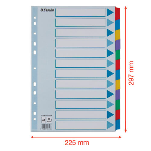 100169_05.jpg Przekładki, kolorowy karton, karta opisowa Mylar A4, Esselte, 12 kart