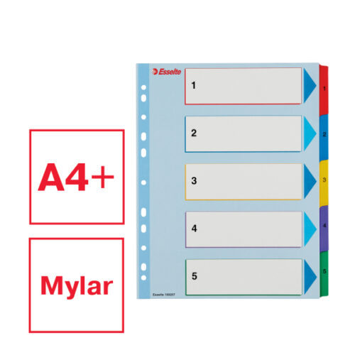 100207_01.jpg Przekładki karton. Mylar A4 Maxi z lamin. kartą do wielokrotnego opisywania, Esselte, 1-5