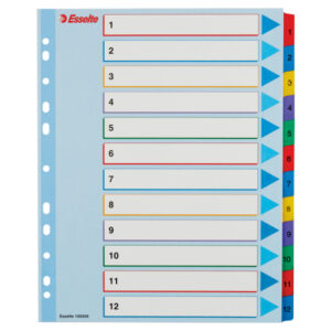 Przekładki karton. Mylar A4 Maxi z lamin. kartą do wielokrotnego opisywania, Esselte, 1-12