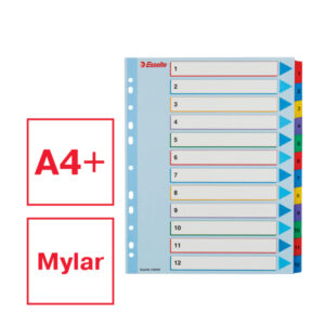 Przekładki karton. Mylar A4 Maxi z lamin. kartą do wielokrotnego opisywania, Esselte, 1-12