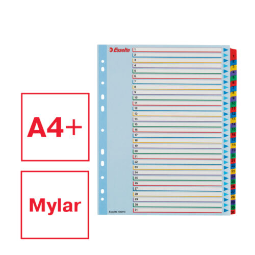 100210_01.jpg Przekładki karton. Mylar A4 Maxi z lamin. kartą do wielokrotnego opisywania, Esselte, 1-31