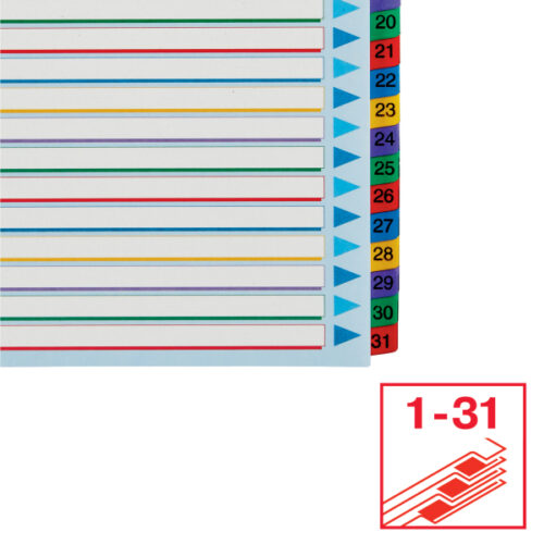 100210_04.jpg Przekładki karton. Mylar A4 Maxi z lamin. kartą do wielokrotnego opisywania, Esselte, 1-31