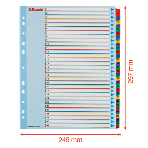100210_05.jpg Przekładki karton. Mylar A4 Maxi z lamin. kartą do wielokrotnego opisywania, Esselte, 1-31