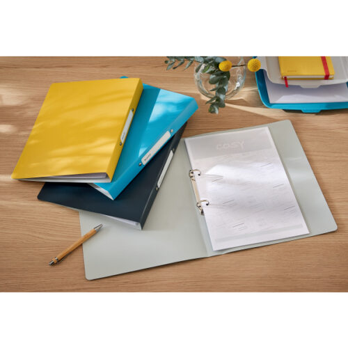 42380061_n_02.jpg Segregator 2ringowy Leitz Cosy, szer. 32 mm, niebieski