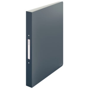 Segregator 2ringowy Leitz Cosy, szer. 32 mm, szary