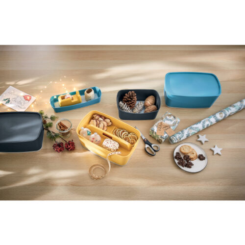 52650061_n_05.jpg MyBox Leitz Cosy Organizer podłużny, niebieski