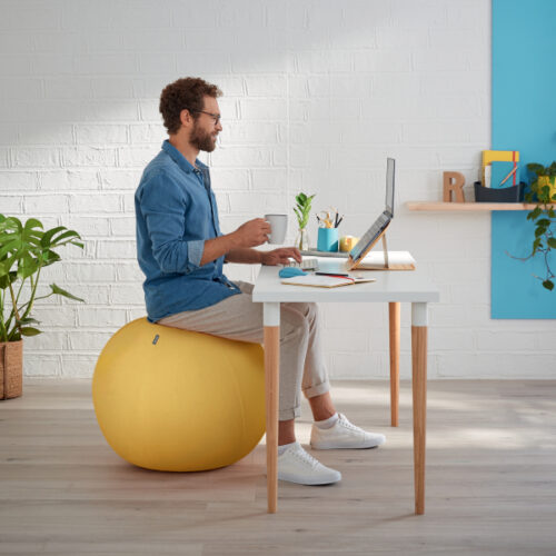 52790019_01.jpg Piłka do siedzenia Leitz Ergo Cosy, 65cm, żółta