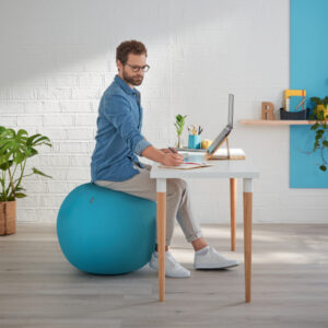 Piłka do siedzenia Leitz Ergo Cosy, 65cm, niebieska