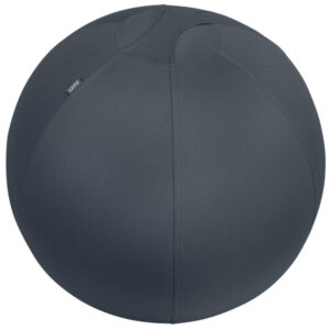 Piłka do siedzenia Leitz Ergo Cosy, 65cm, szara