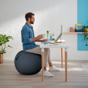 Piłka do siedzenia Leitz Ergo Cosy, 65cm, szara