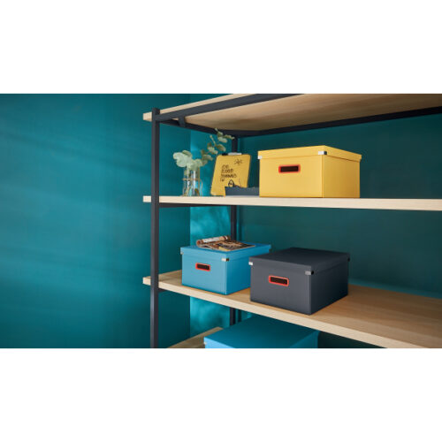 53480089_n_02.jpg Pudełko do przechowywania Leitz C&S Cosy, średnie, szare