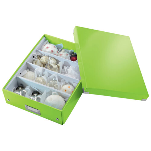 60580054_07.jpg Pudło z przegródkami Leitz C&S WOW, średnie, zielone