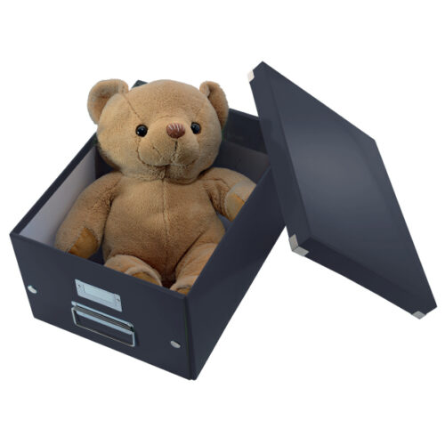 61080095_06.jpg Pudło uniwersalne Leitz C&S WOW L, czarne