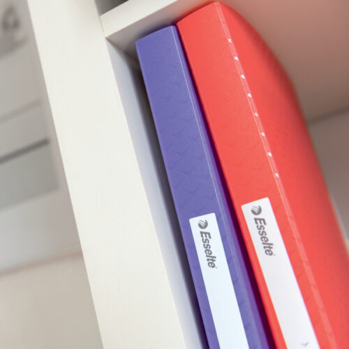 628443_03.jpg Album ofertowy Esselte Colour'Breeze, z 60 koszulkami, koralowy