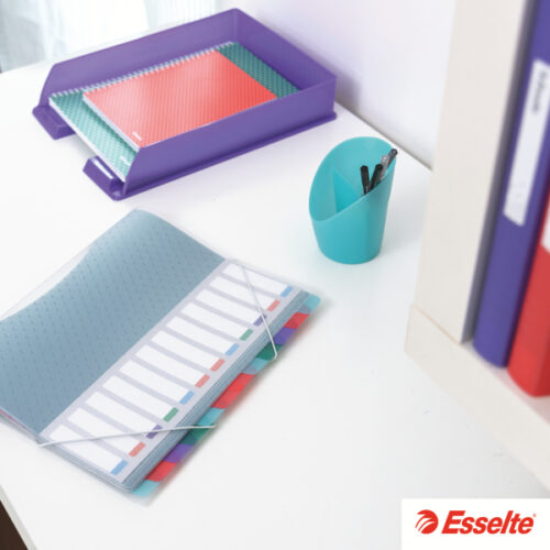 628443_n_01.jpg Album ofertowy Esselte Colour'Breeze, z 60 koszulkami, koralowy