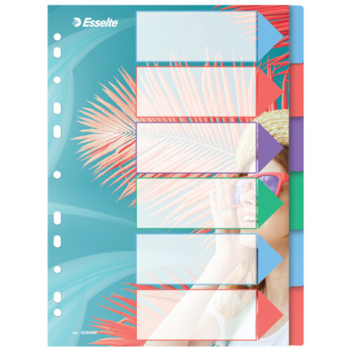 Przekładki Esselte Colour'Breeze PP A4, 6 przekładek
