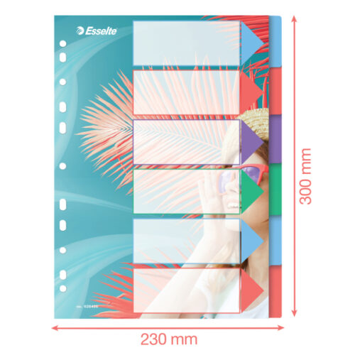 628499_03.jpg Przekładki Esselte Colour'Breeze PP A4, 6 przekładek