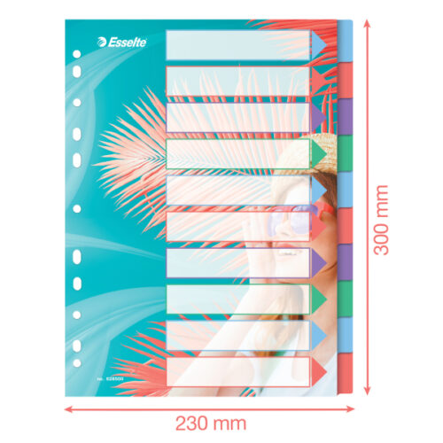628500_03.jpg Przekładki Esselte Colour'Breeze PP A4, 10 przekładek