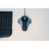 Optyczny trackball Kensington Orbit™, srebrny