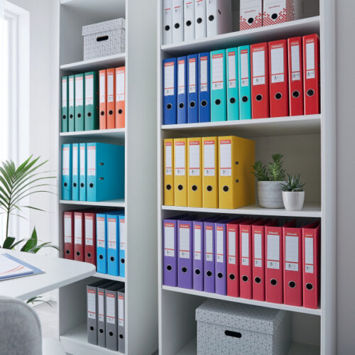 811312_05.jpg Segregator Esselte No.1, A4, szer. 75 mm, jasno-zielony