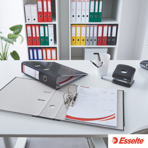 81196_n_03.jpg Segregator Esselte A4, ekonomiczny 50 mm, zielony