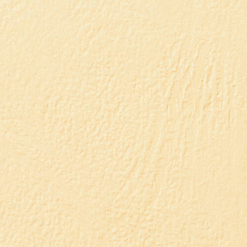 CE040065.jpg Okładki do bindowania skóropodobne GBC LeatherGrain, A4, 250 gm2, kość słoniowa